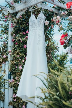 BlueBird Manor Wedding Venue, Wedding photographer, Central Pennsylvania Wedding Photographer.