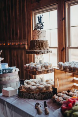 The Christain Royer House Wedding Photographer, Engagement Photographer , Cold Saturday Farm .