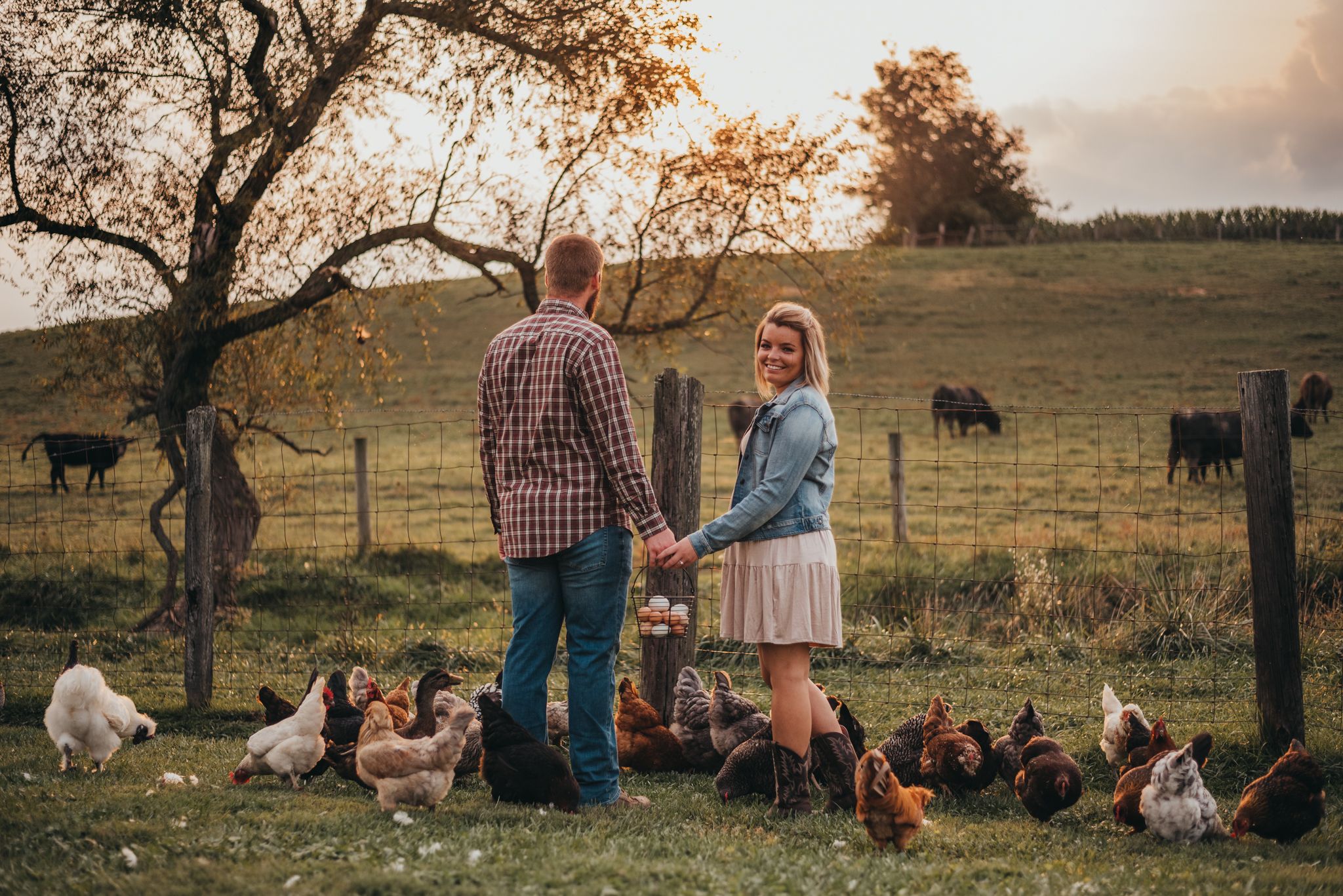 Farm, Barn Wedding, Engagement Session Farm, Finksburg MD, Westminster MD, Maryland, PA.