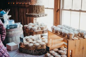 The Christain Royer House Wedding Photographer, Engagement Photographer , Cold Saturday Farm .