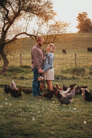 Farm, Barn Wedding, Engagement Session Farm, Finksburg MD, Westminster MD, Maryland, PA.