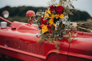 Farm, Barn Wedding, Engagement Session Farm, Finksburg MD, Westminster MD, Maryland, PA.