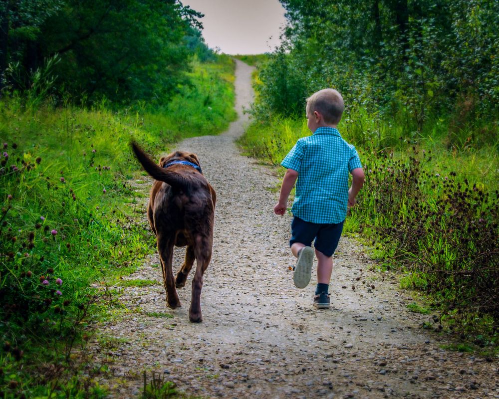 young boy runs with his dog down a path in the forest in Edmonton, mans best friend in alberta