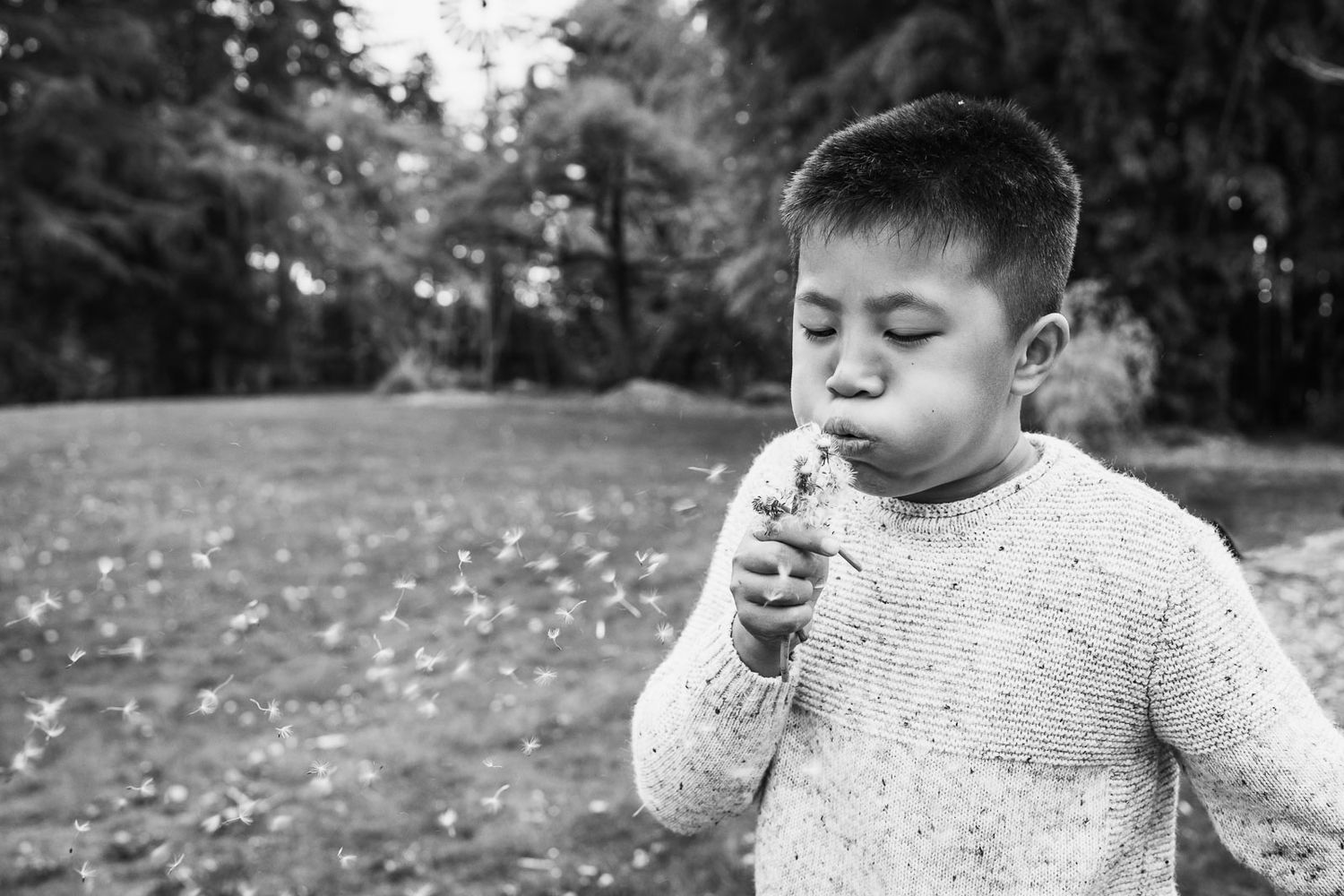 Black and white photo of boy blowing dandelion puffs in the spring