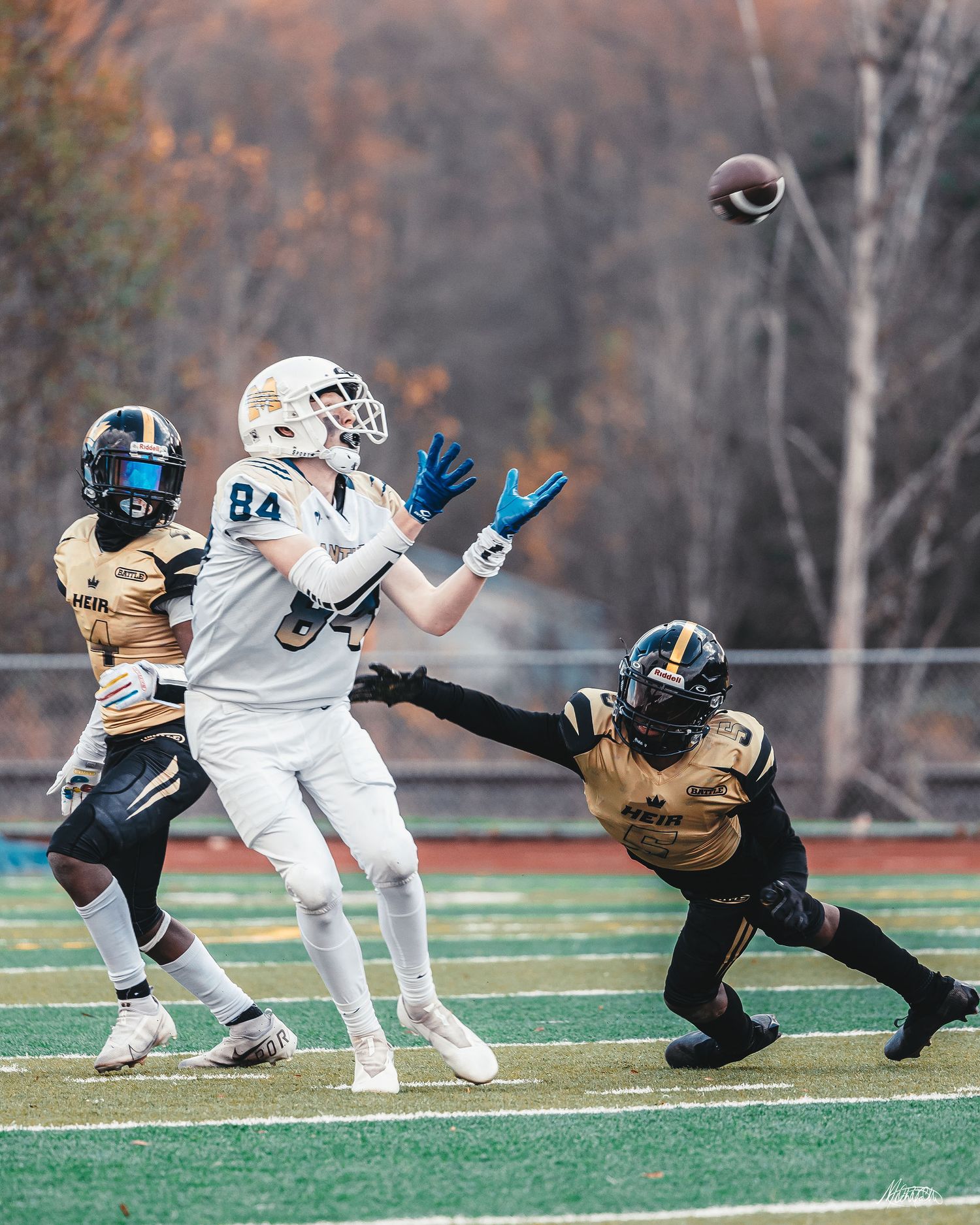 Sound Sports Photography Professional Service Seattle Orting Graham Puyallup Tacoma Washington Action Passion