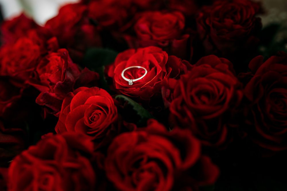 Wedding ring nestled among deep red roses in romantic macro shot.