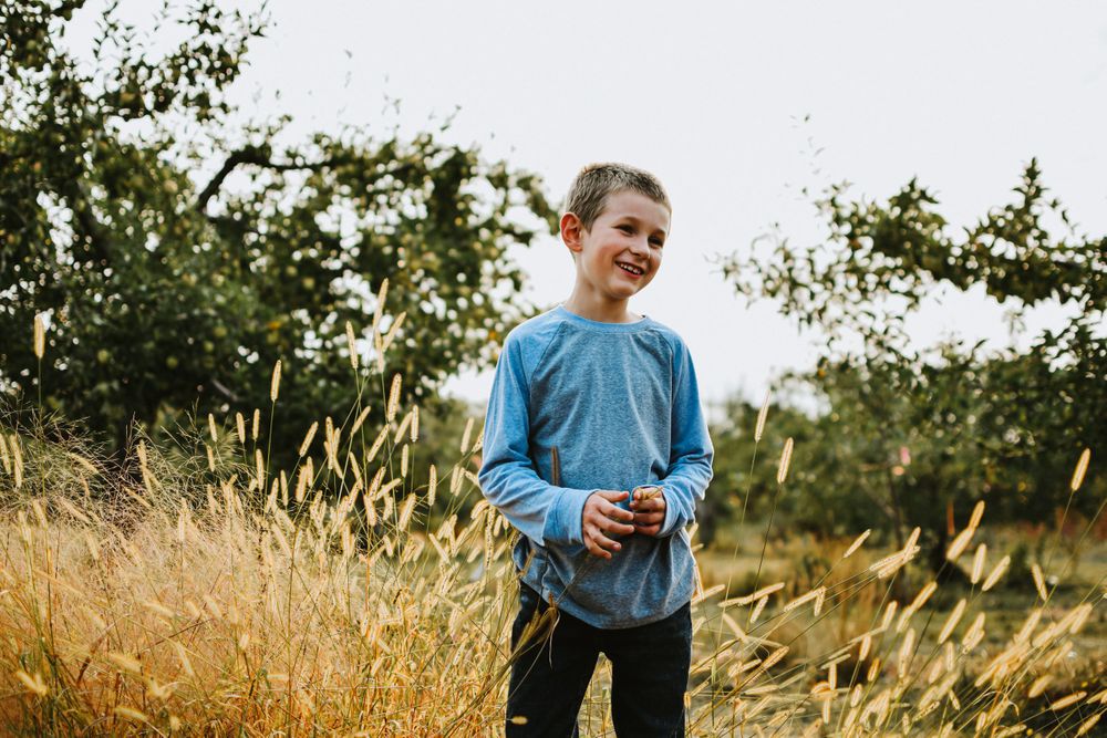 Smiling boy in blue long sleeve shirt standing in golden grass field near apple trees.