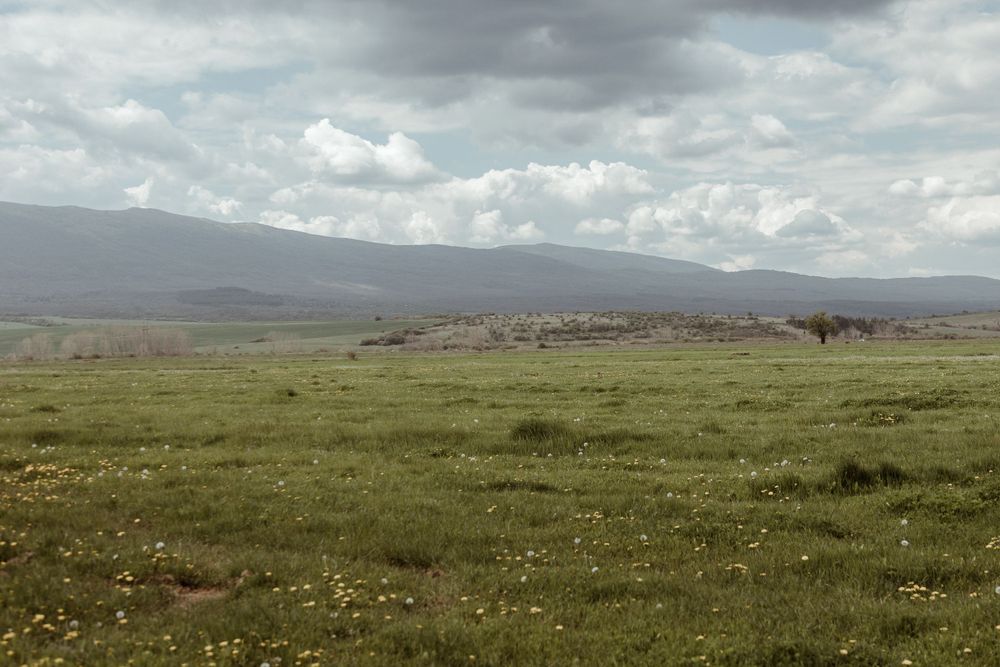 професионално фотозаснемане на свето кръщение от професионален фотограф, годеч