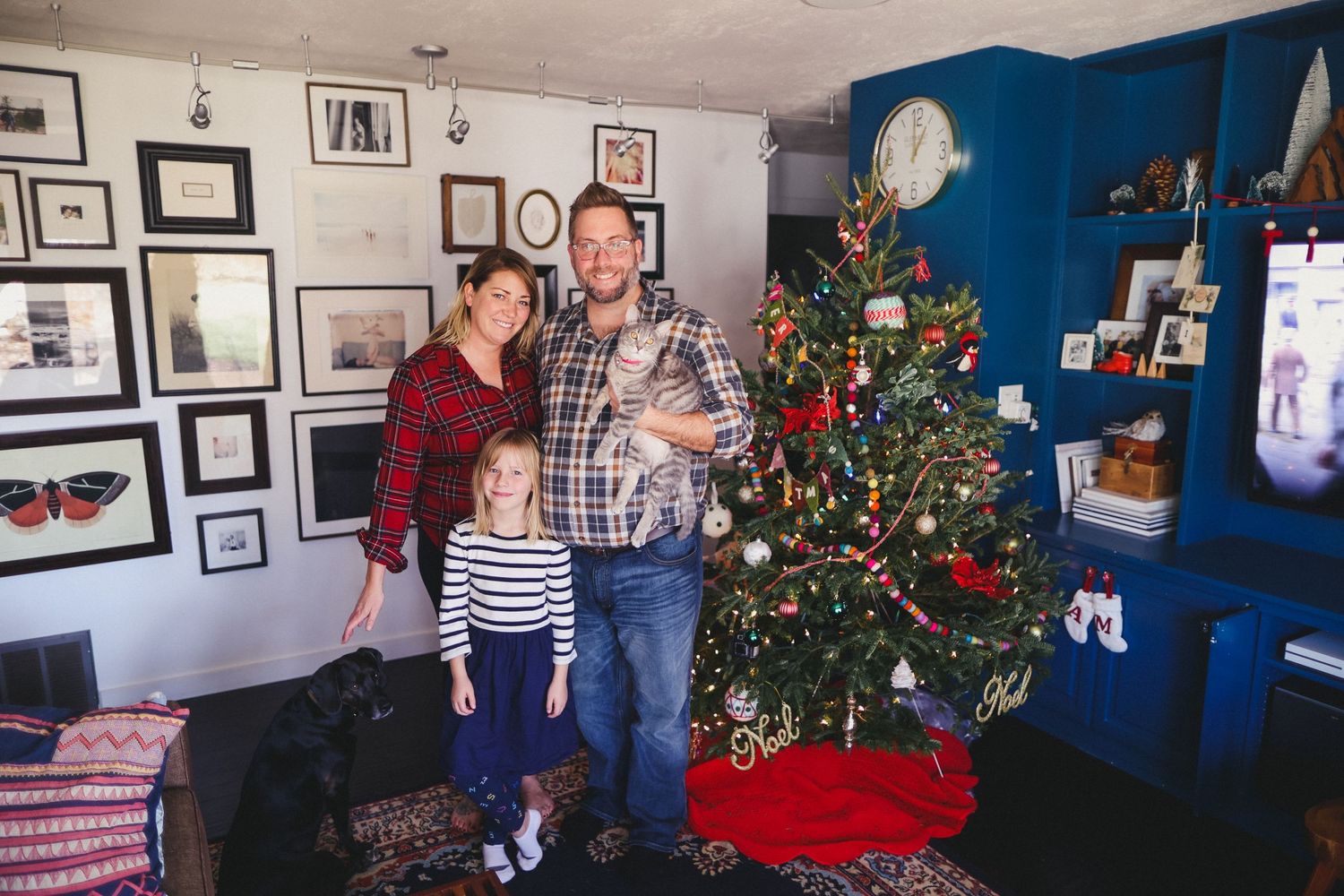 Wide angle shot of a festively decorated living room with blue walls and Christmas tree.