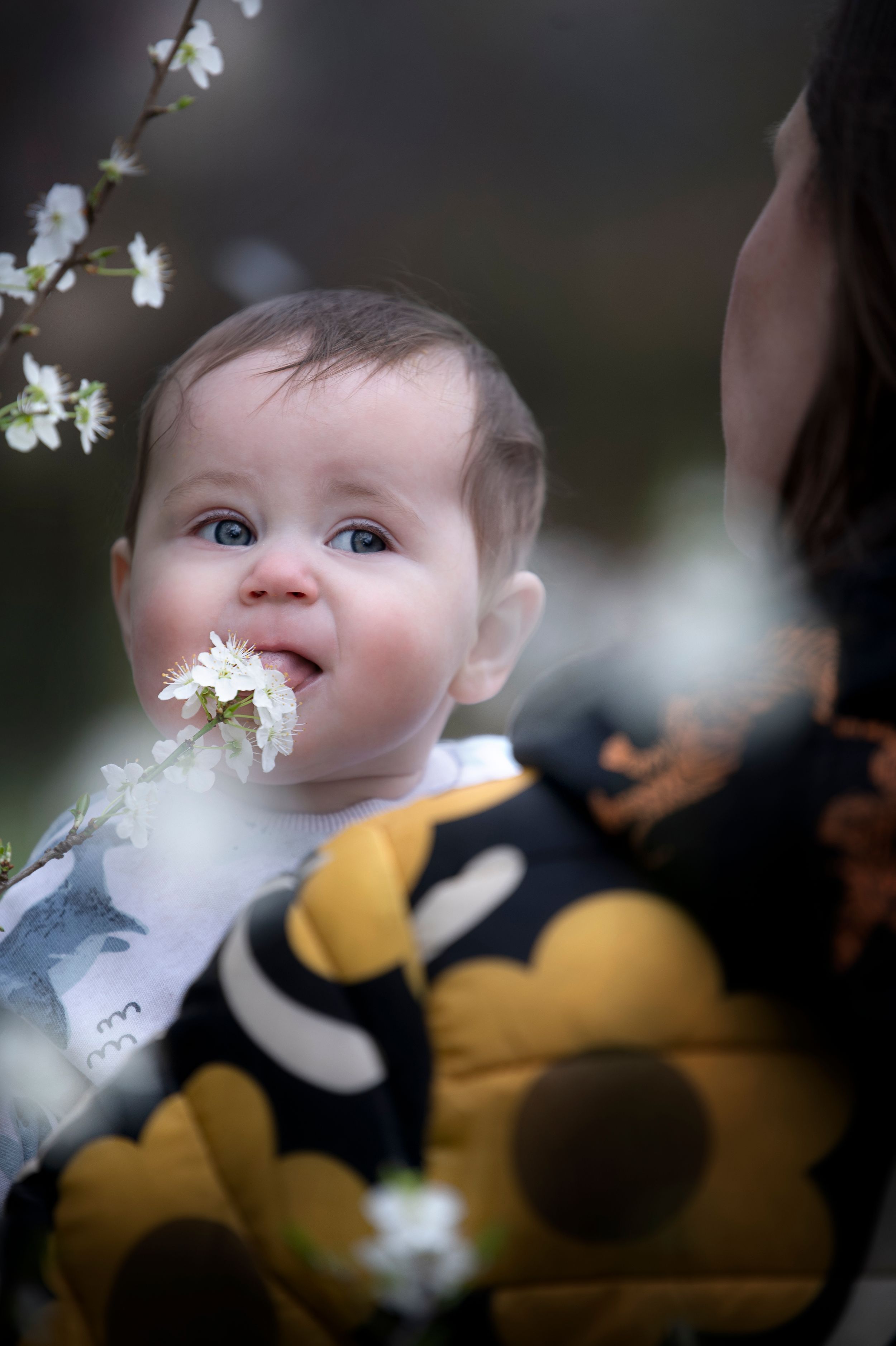 Baby wearing a bib smiles while looking up at white spring blossoms against a dark background.