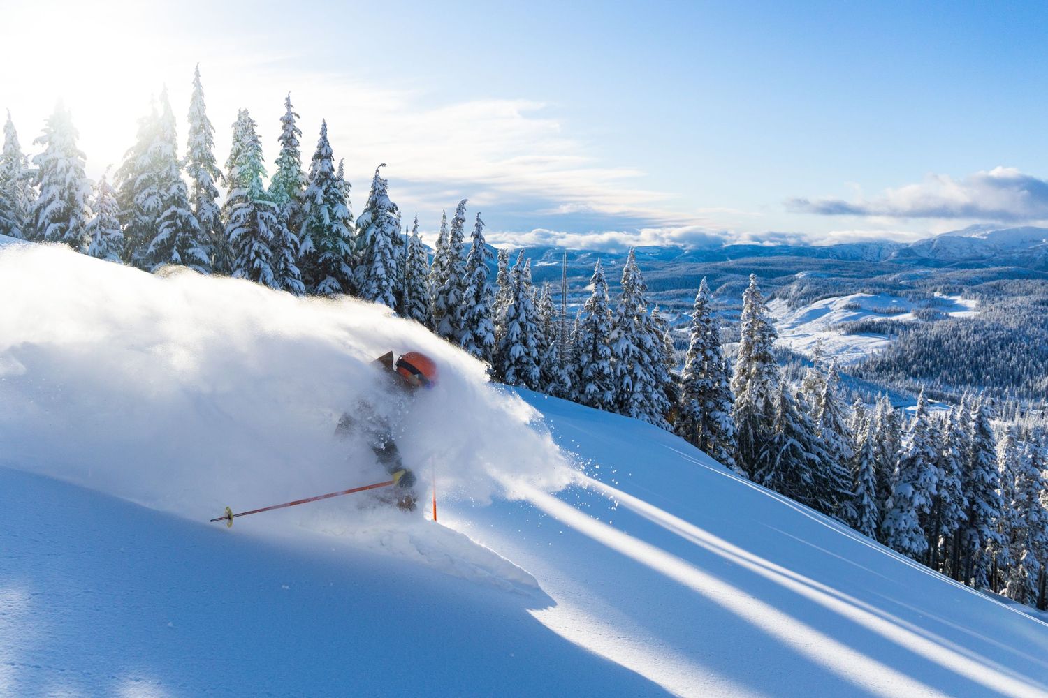 alpine skiing through deep powder.