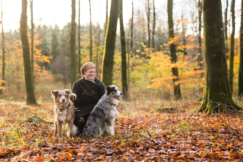 Familie billeder af hele familien, familie fotograf sydfyn, søskende billeder, søskende portræt, børneportræt.