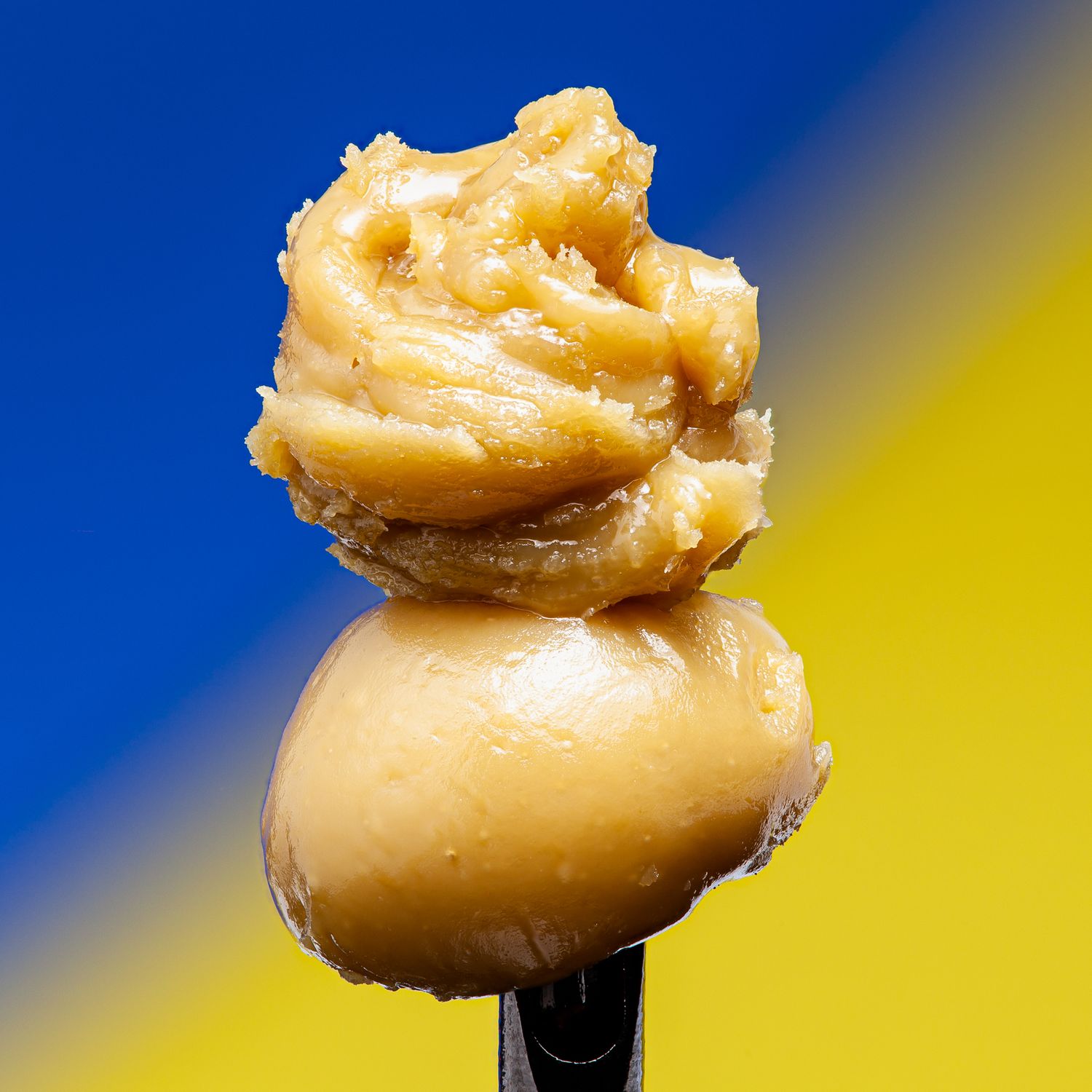 Rhody Rosin x RI Tree Blissful Wizard Flower Rosin