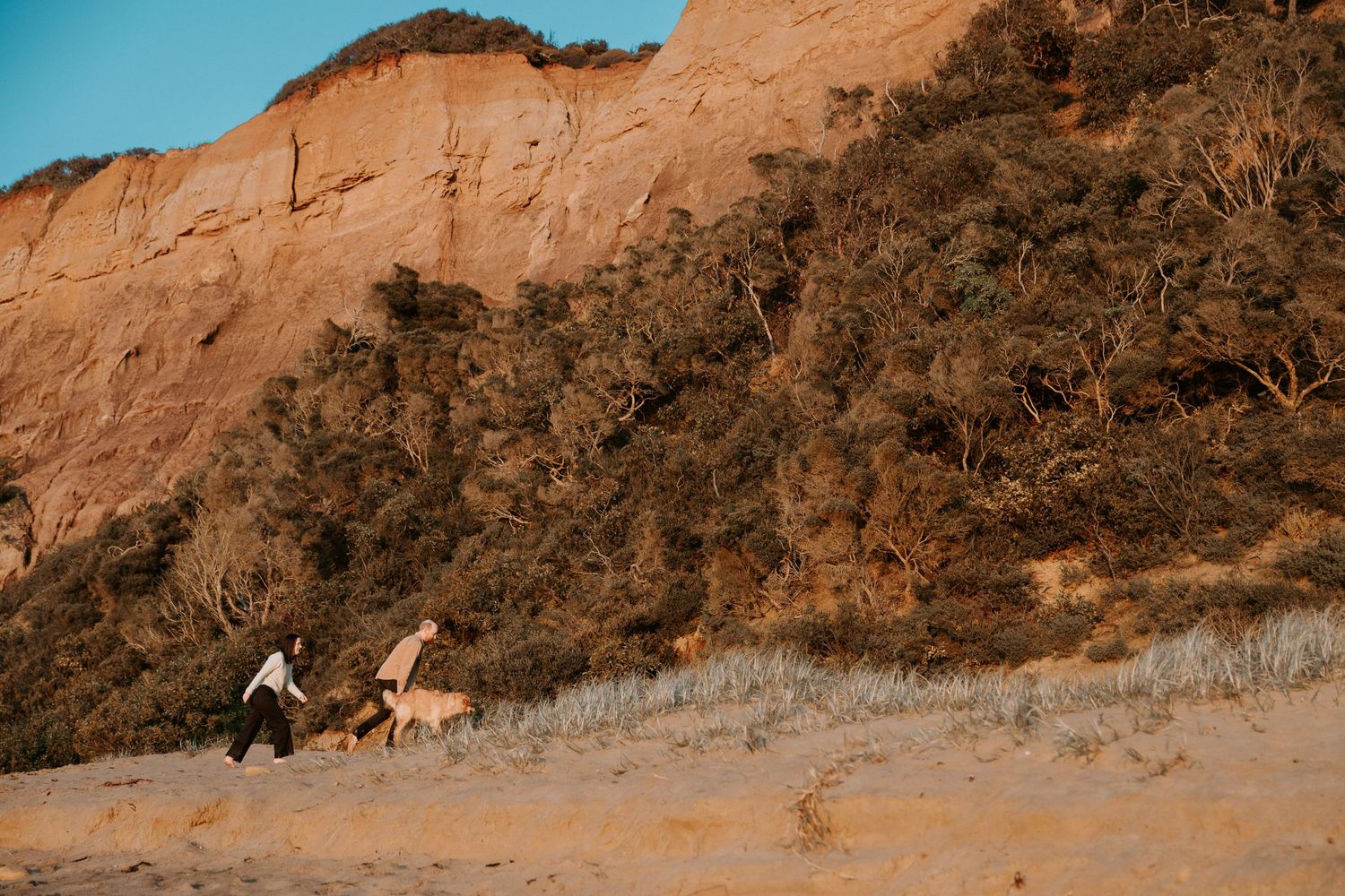 Two people and their dog running up a steep coastal hillside during golden hour.