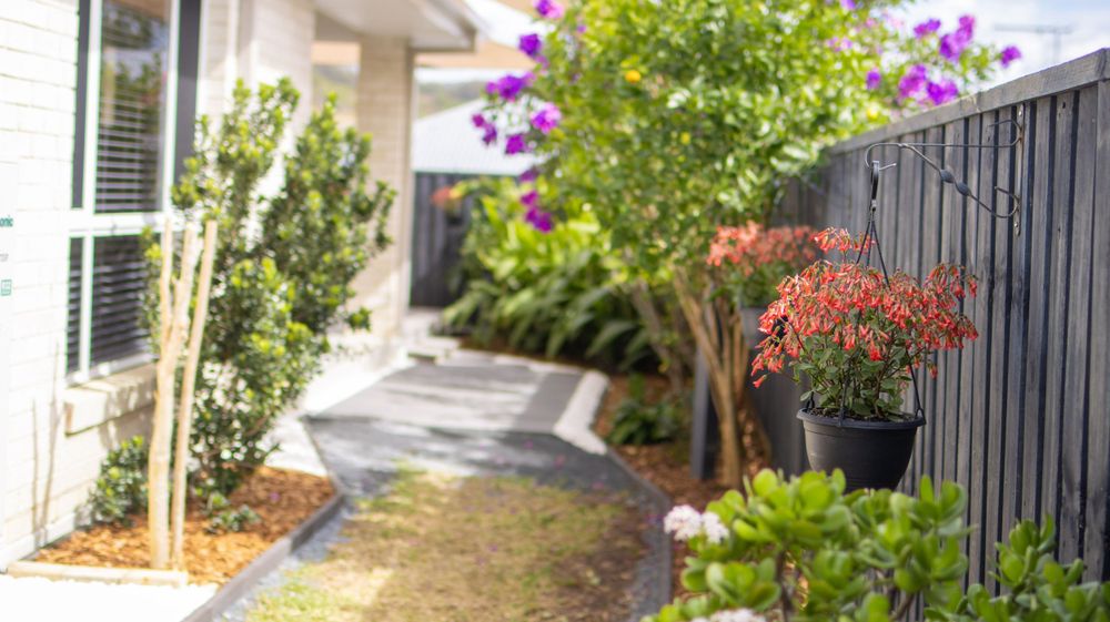 Landscaped garden path with purple flowers and greenery against a dark fence.