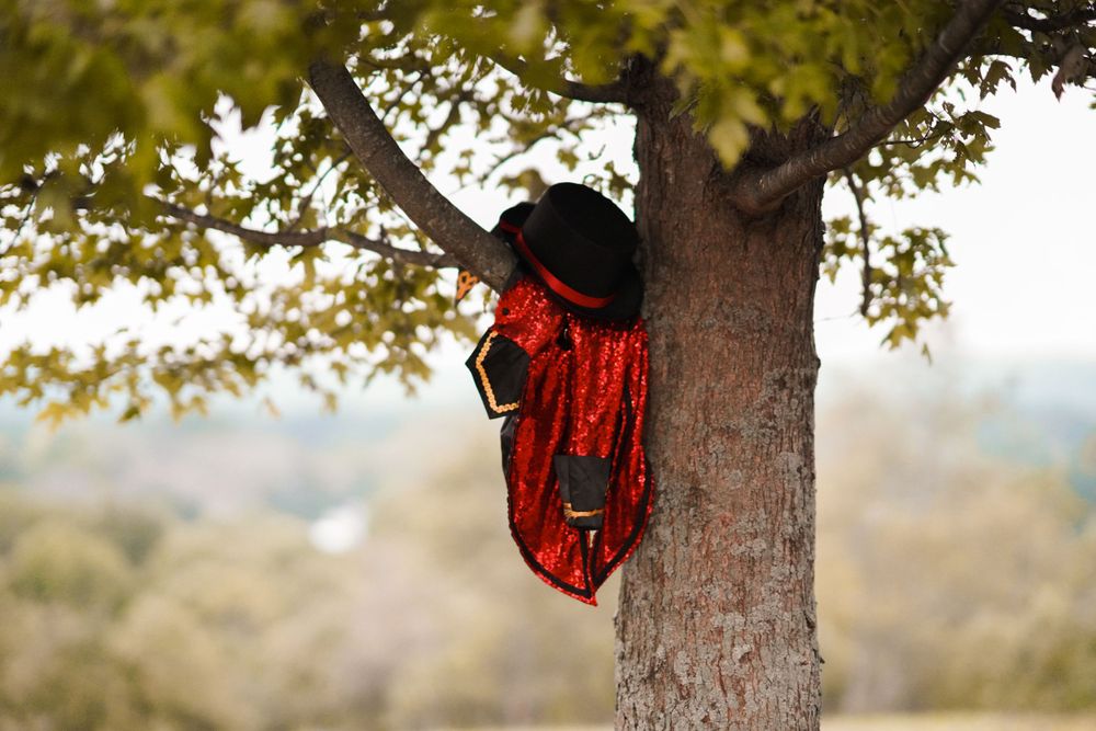 Red dress hanging from tree branch with autumn foliage in background.