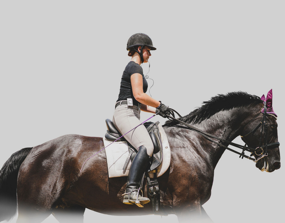 Equestrian rider in helmet and grey attire riding dark horse against light background.