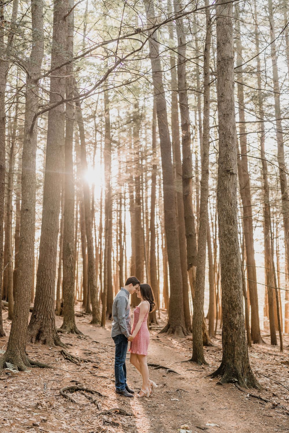 couple standing while touching foreheads in the woods of Maine during their Engagement Session
