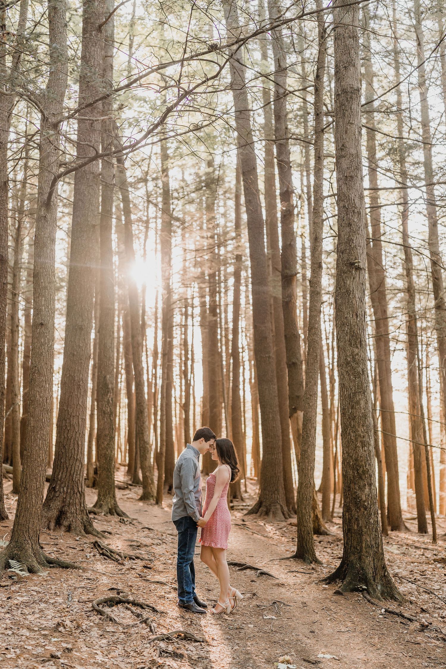 couple standing while touching foreheads in the woods of Maine during their Engagement Session
