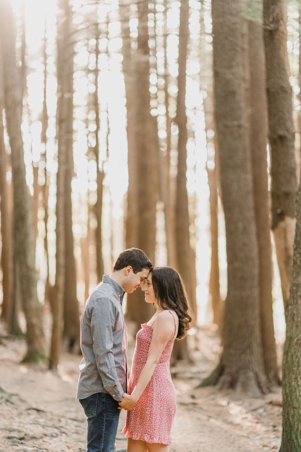 Couple snuggling in magical forest of Hamilton house during engagement session with Maine wedding photographer