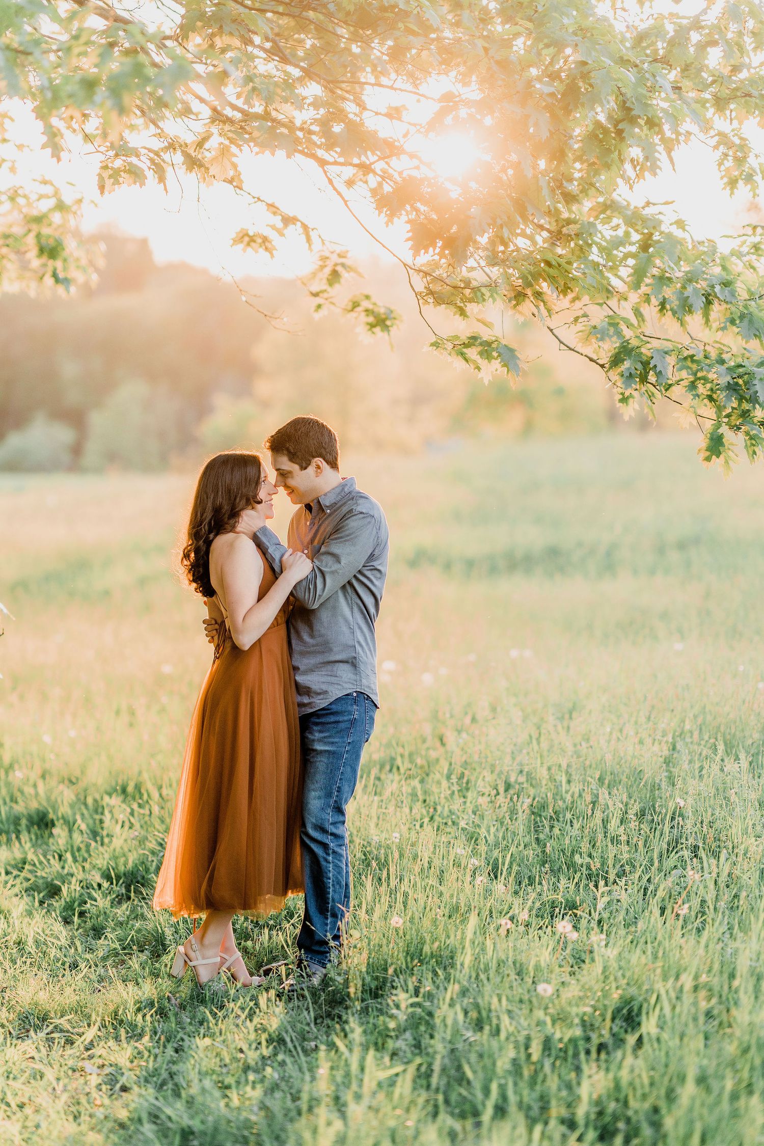 couple in loving embrace standing under backlit tree branch during golden hour engagement session in Maine