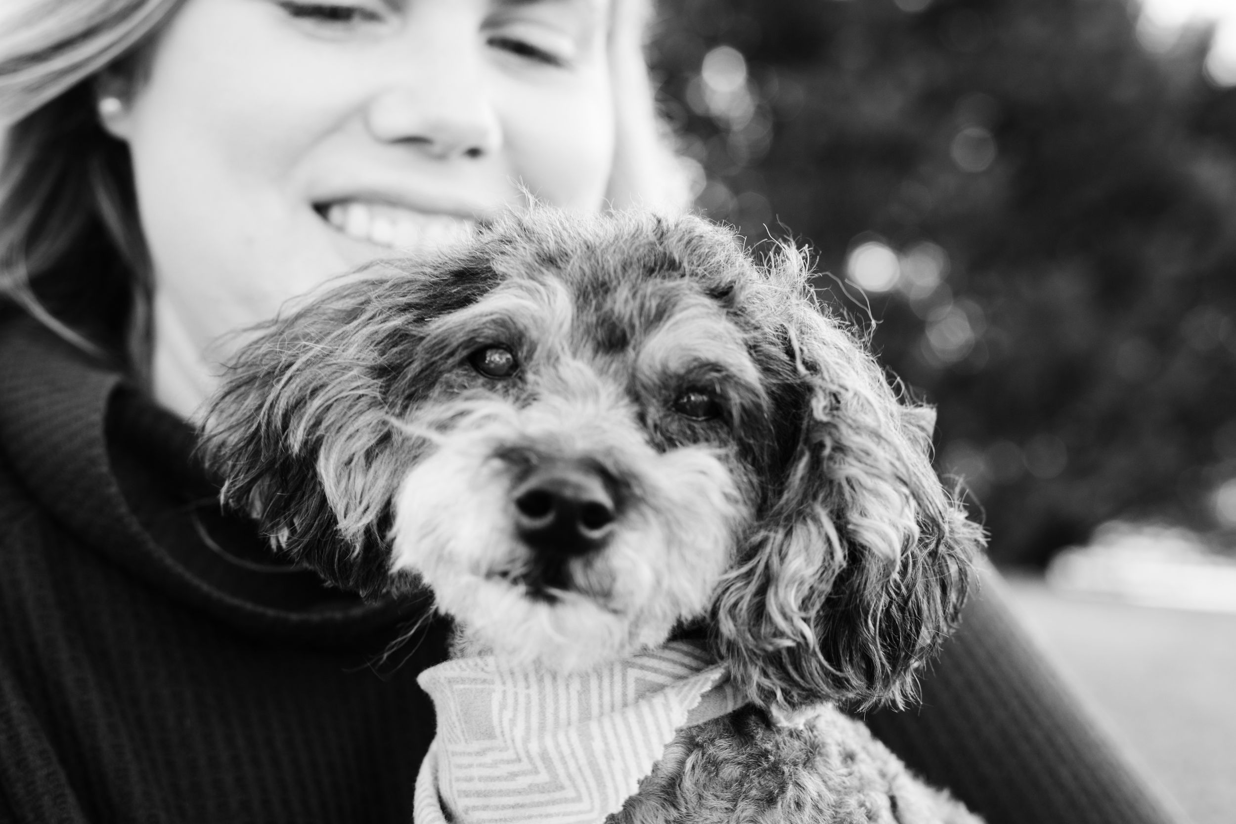 portrait of an older poodle and her owner