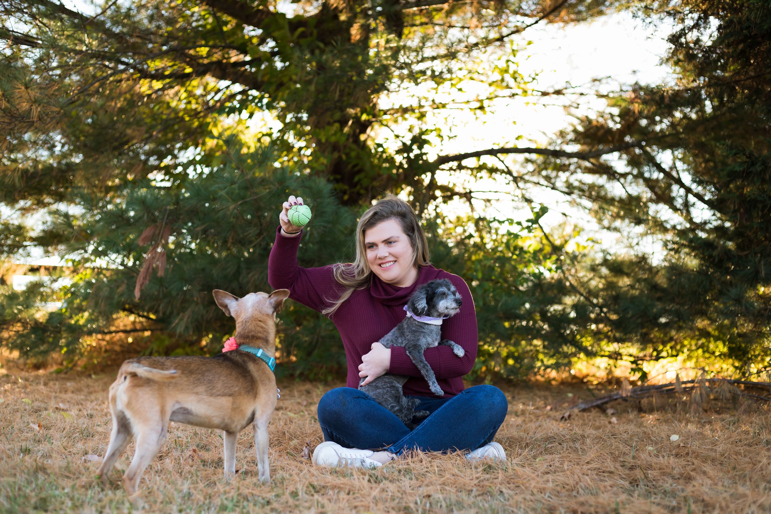 Young adult female under a tree, playing with her two elderly pups