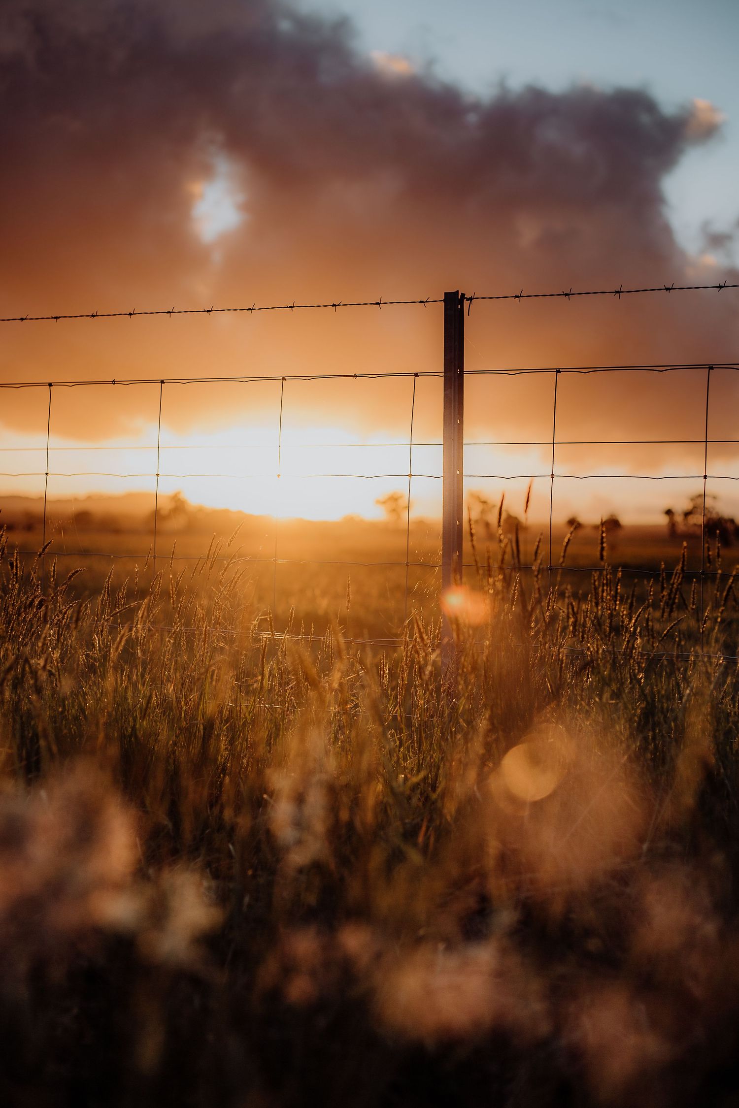 Rustic barbed wire fence silhouetted against a dramatic orange sunset.