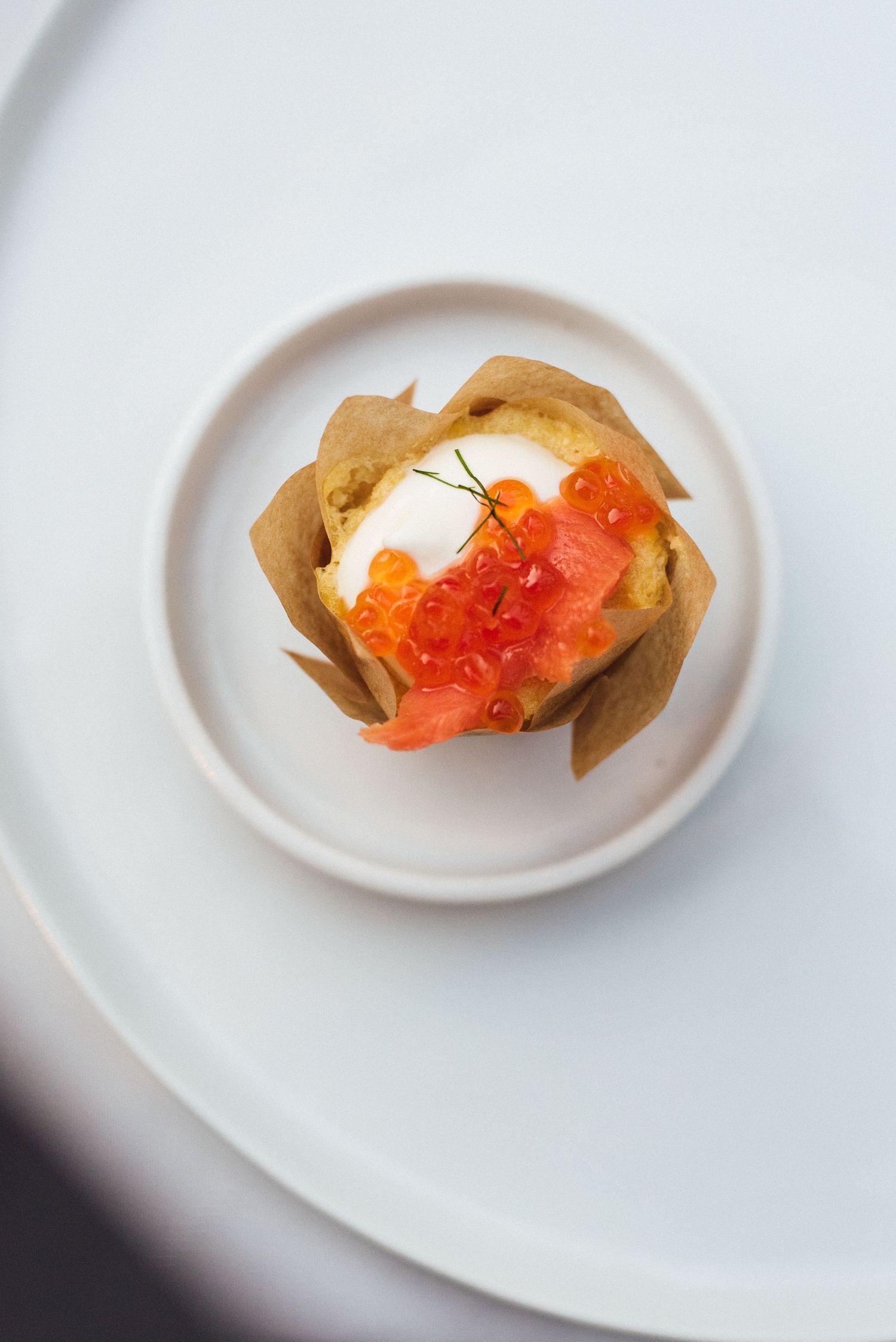 Gourmet appetizer with salmon and cream on a white plate against bright background.