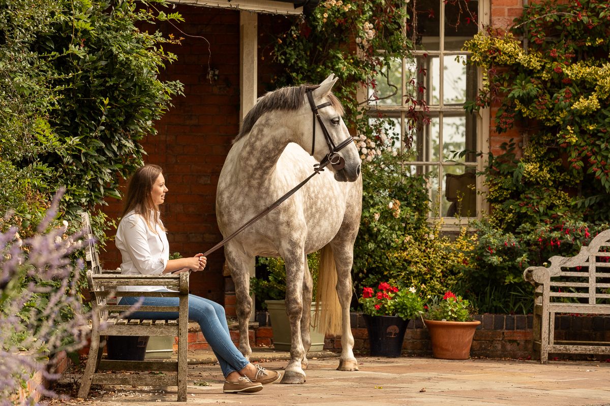 Grey horse stands near brick building with garden bench and flowering plants.