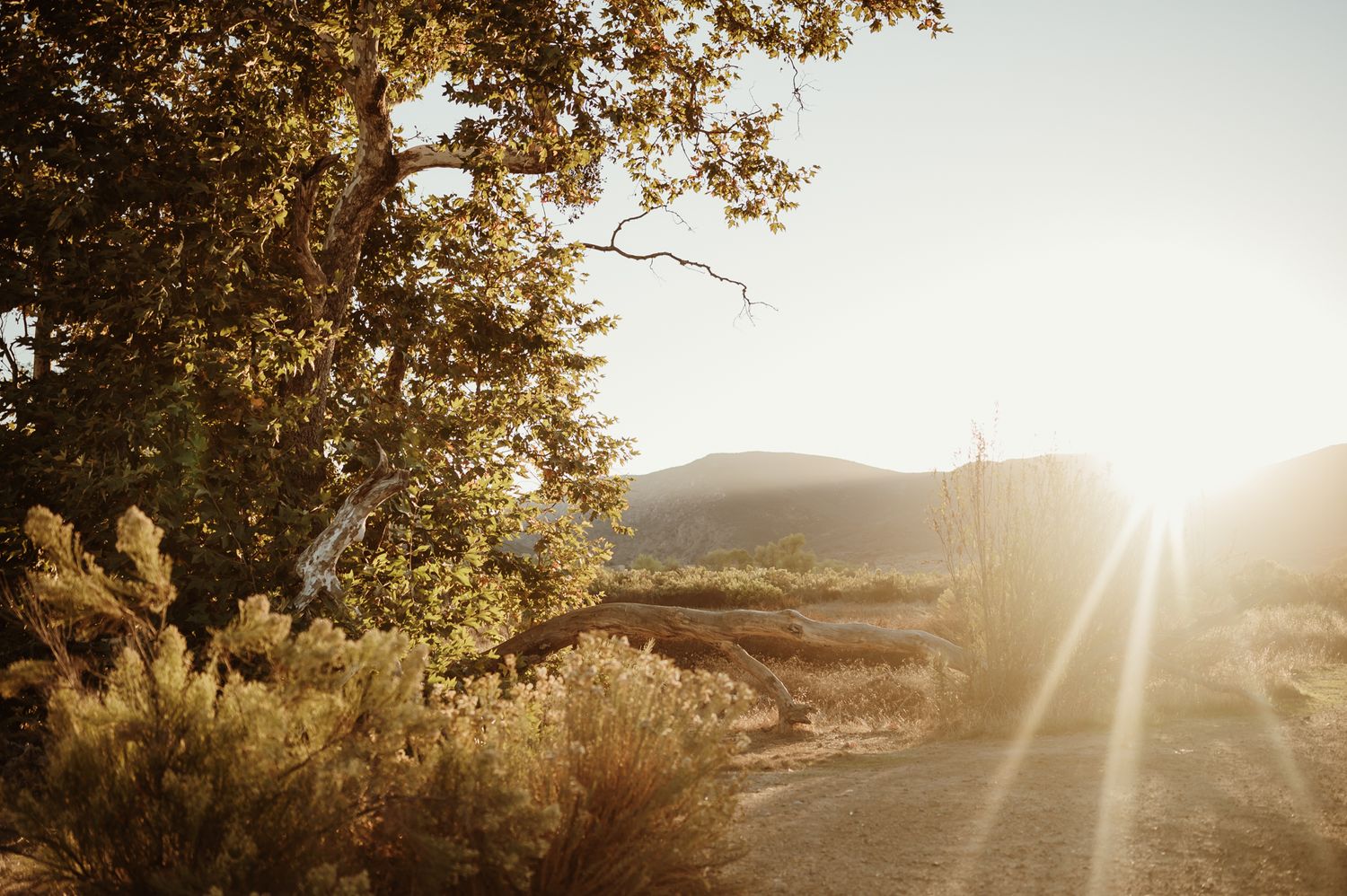 Landscape portrait by Ventura Photographer Tiffany Kelterer of Mission Trails with a light flare in the right corner