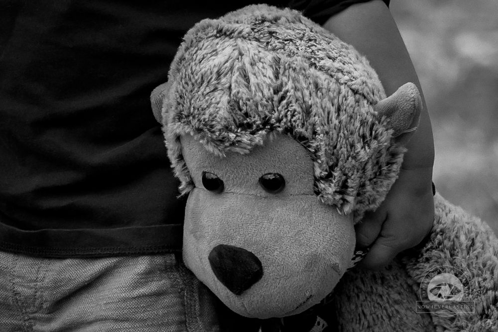 Stuffed Animal