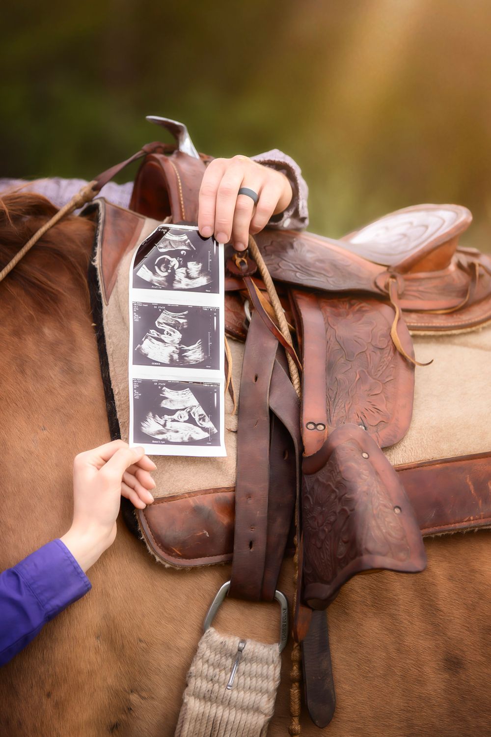 Ultrasound photos displayed on a brown leather horse saddle.