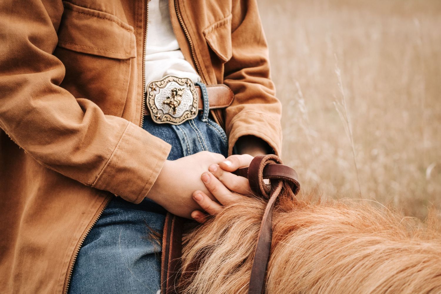 Close up of hands holding leather reins on chestnut horse's back.