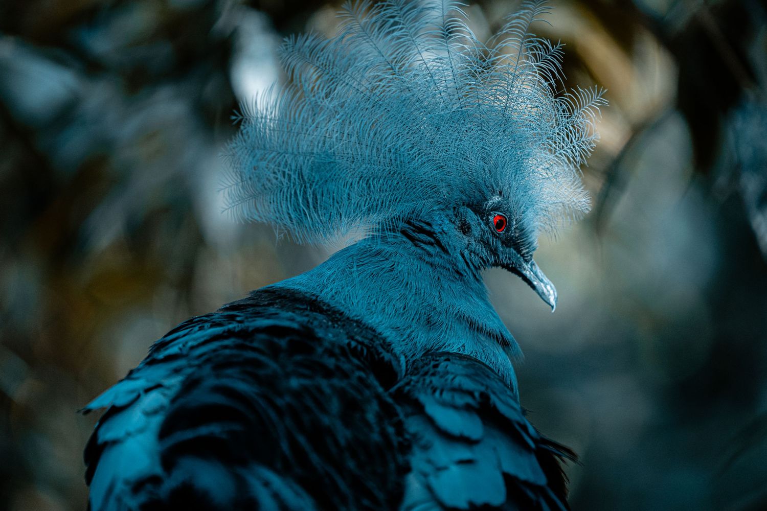 bird photo