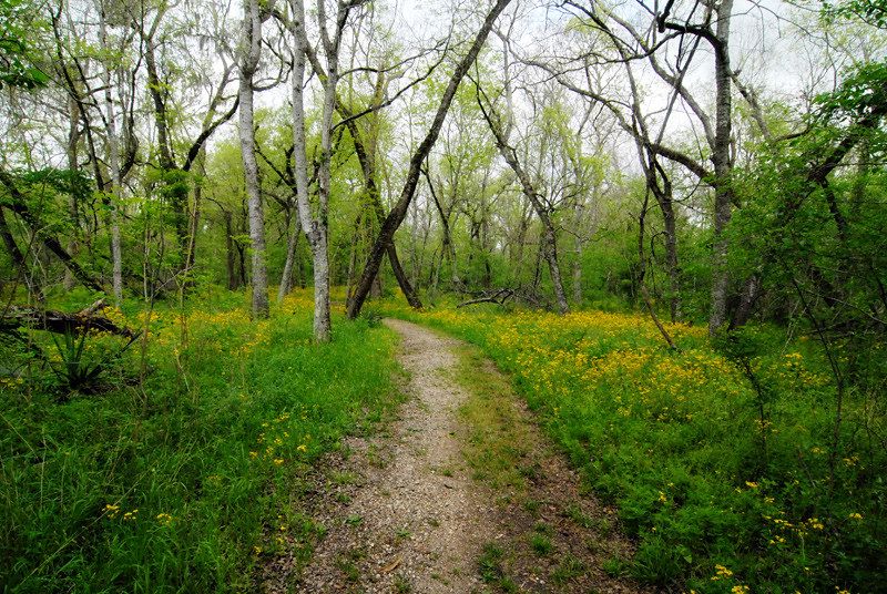 Trail at Brazos Bend State Park