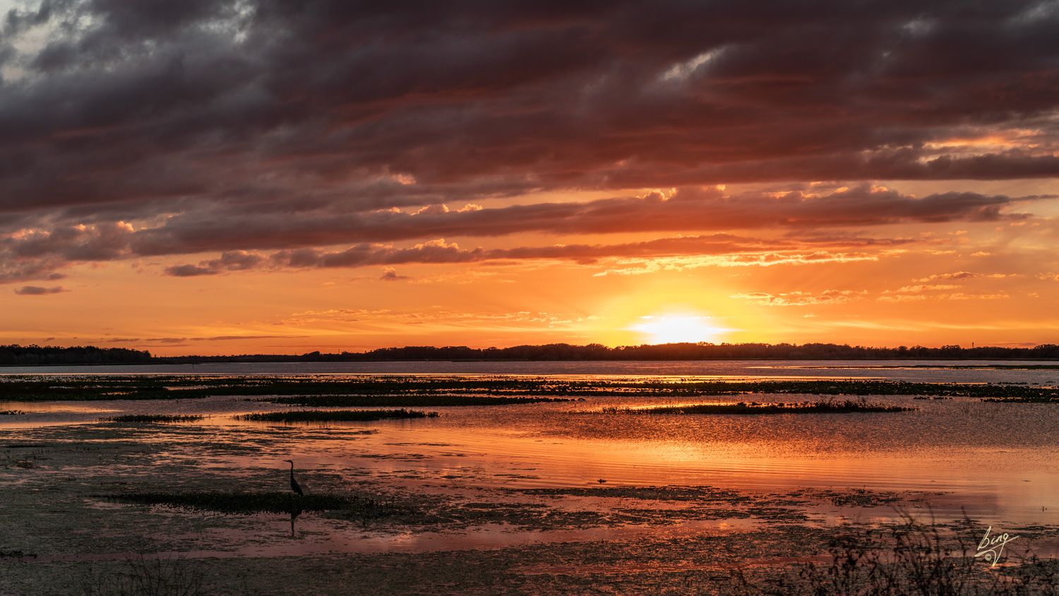 Sunset with Great Blue Heron