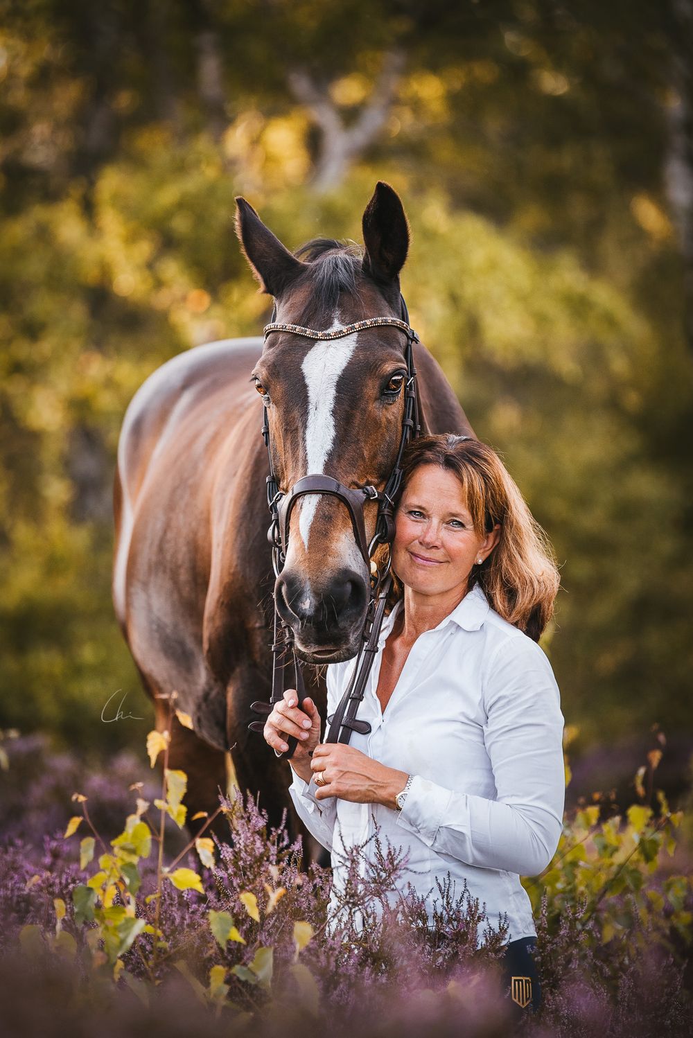 Häst och ryttare Sverige Skåne Falsterbo