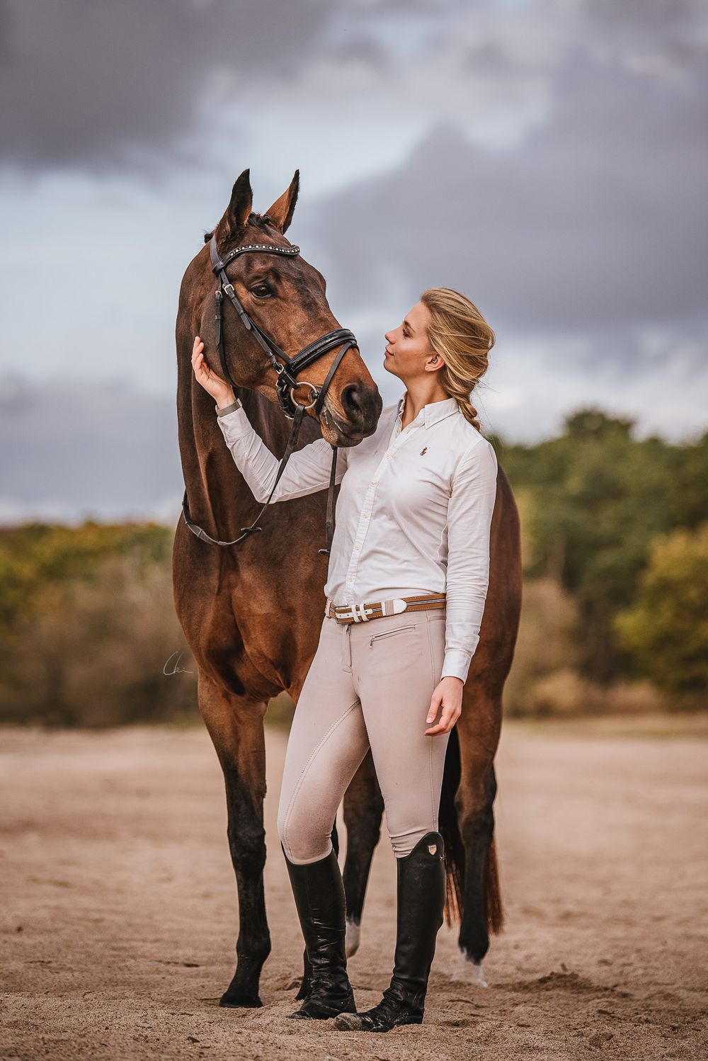Ekipage hästfotograf Clara Nilsson skåne