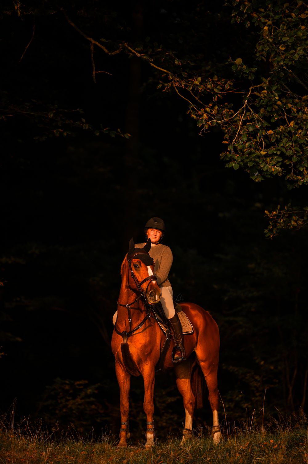 Ridning Skåne Sverige fotograf