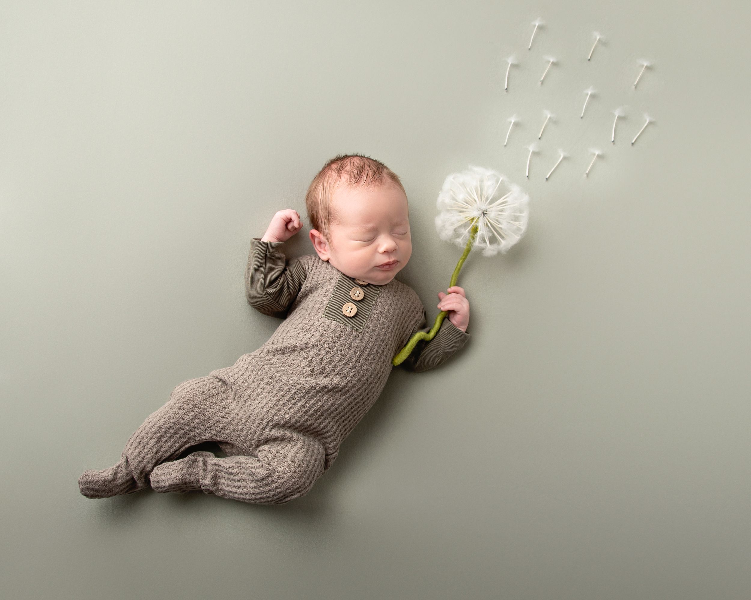 Cleveland Baby Photographer Leland Ity Bity Photography