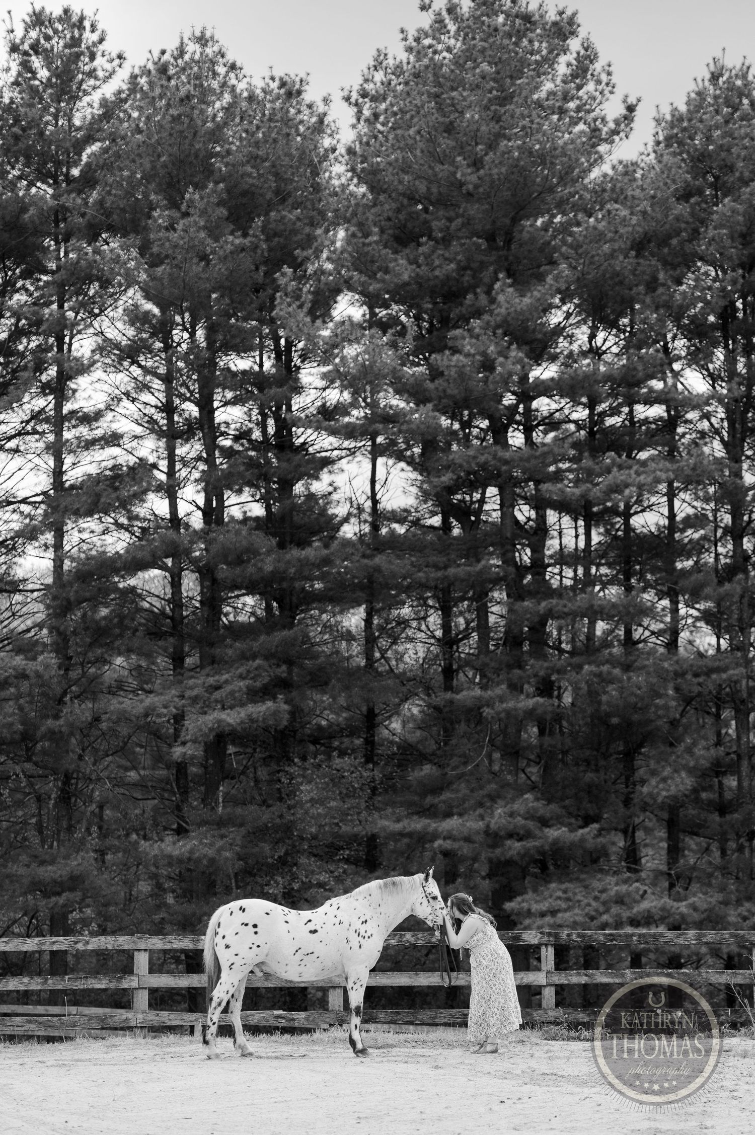 A black and white portrait of an appaloosa horse and companion in a peaceful forest setting.