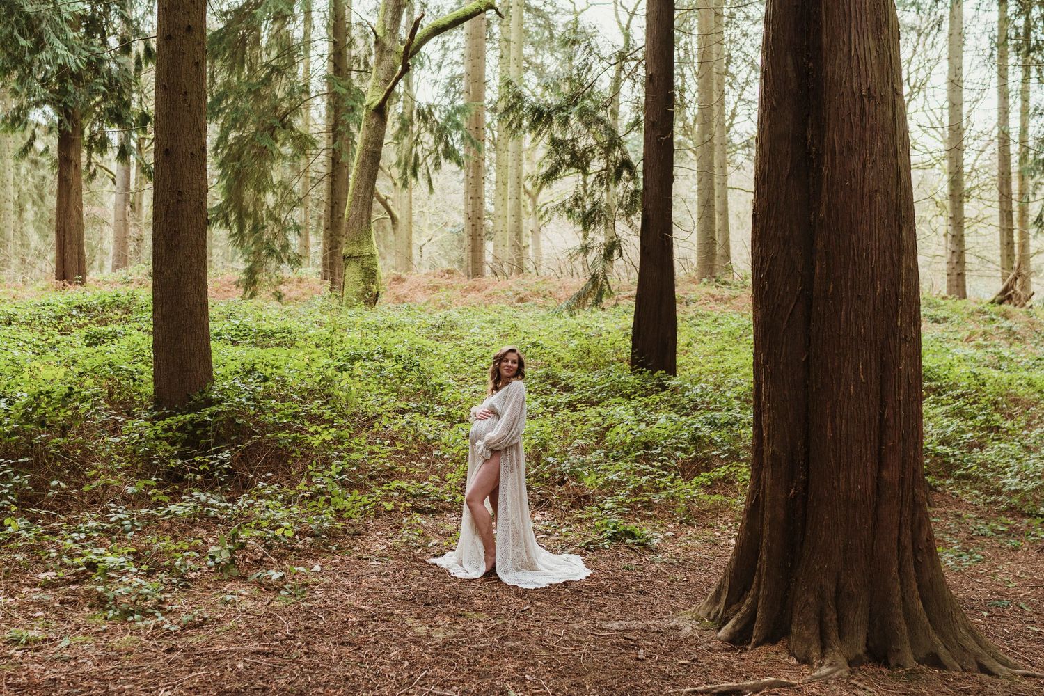 Sunlight filters through tall trees in a serene forest maternity photo setting.