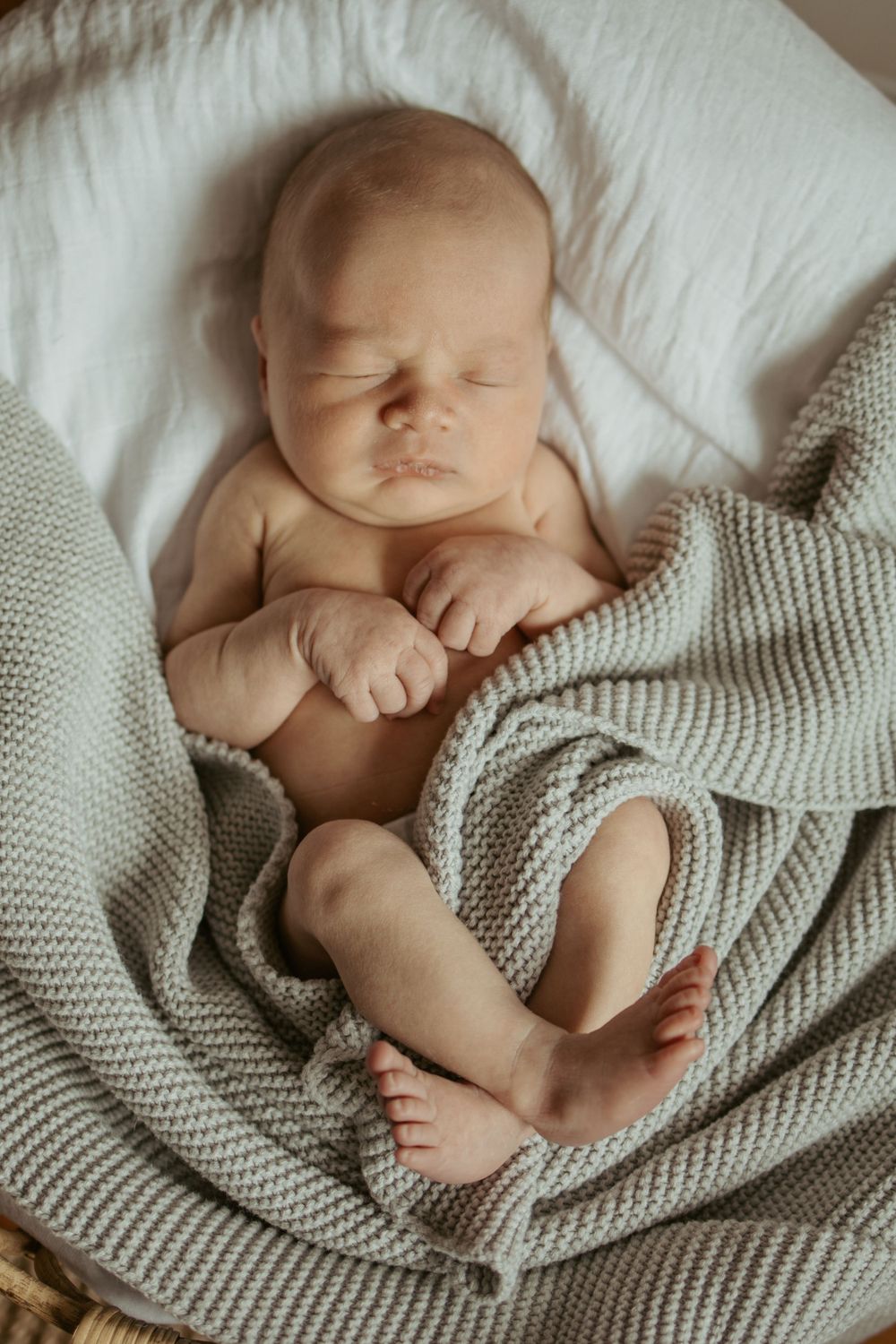 Hazel & Oak Photography Adelaide South Australia Photographer Maternity Family Newborn