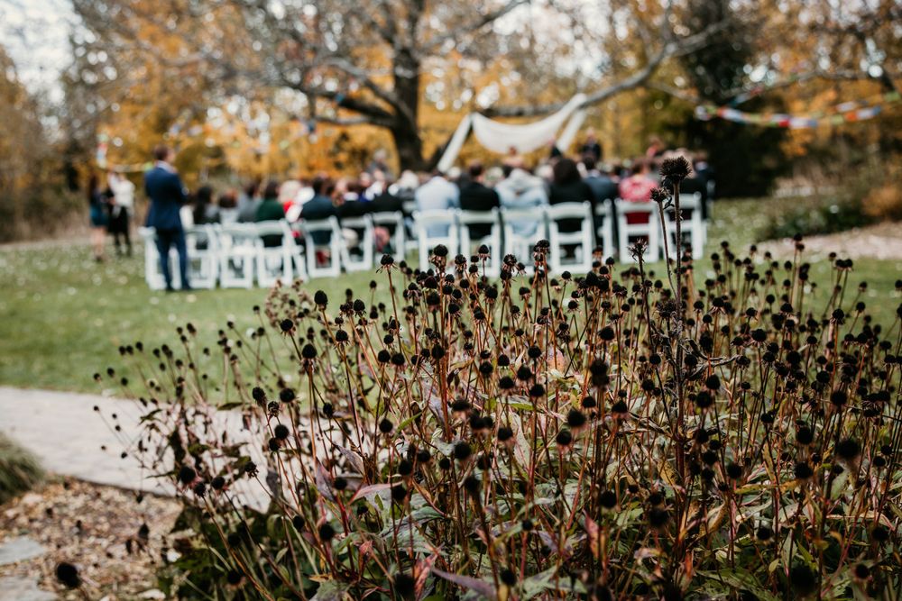 Dried wildflowers in the foreground with wedding ceremony seating visible in the background.