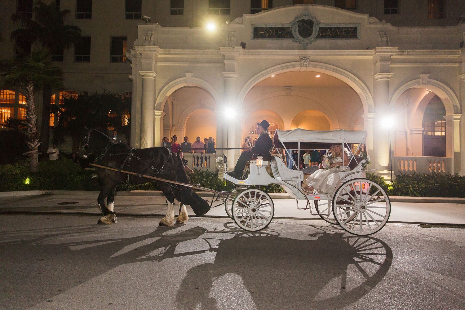 Horse-drawn carriage lit by street lamps in front of historic building at night.