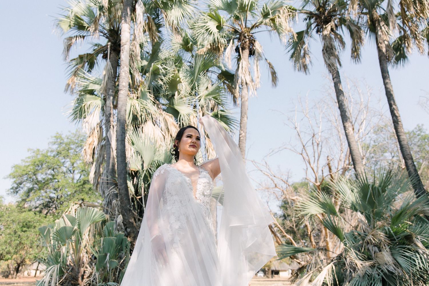 Bride standing amongst the lala palms at Letaba restcamp in the Kruger National park before her wedding.