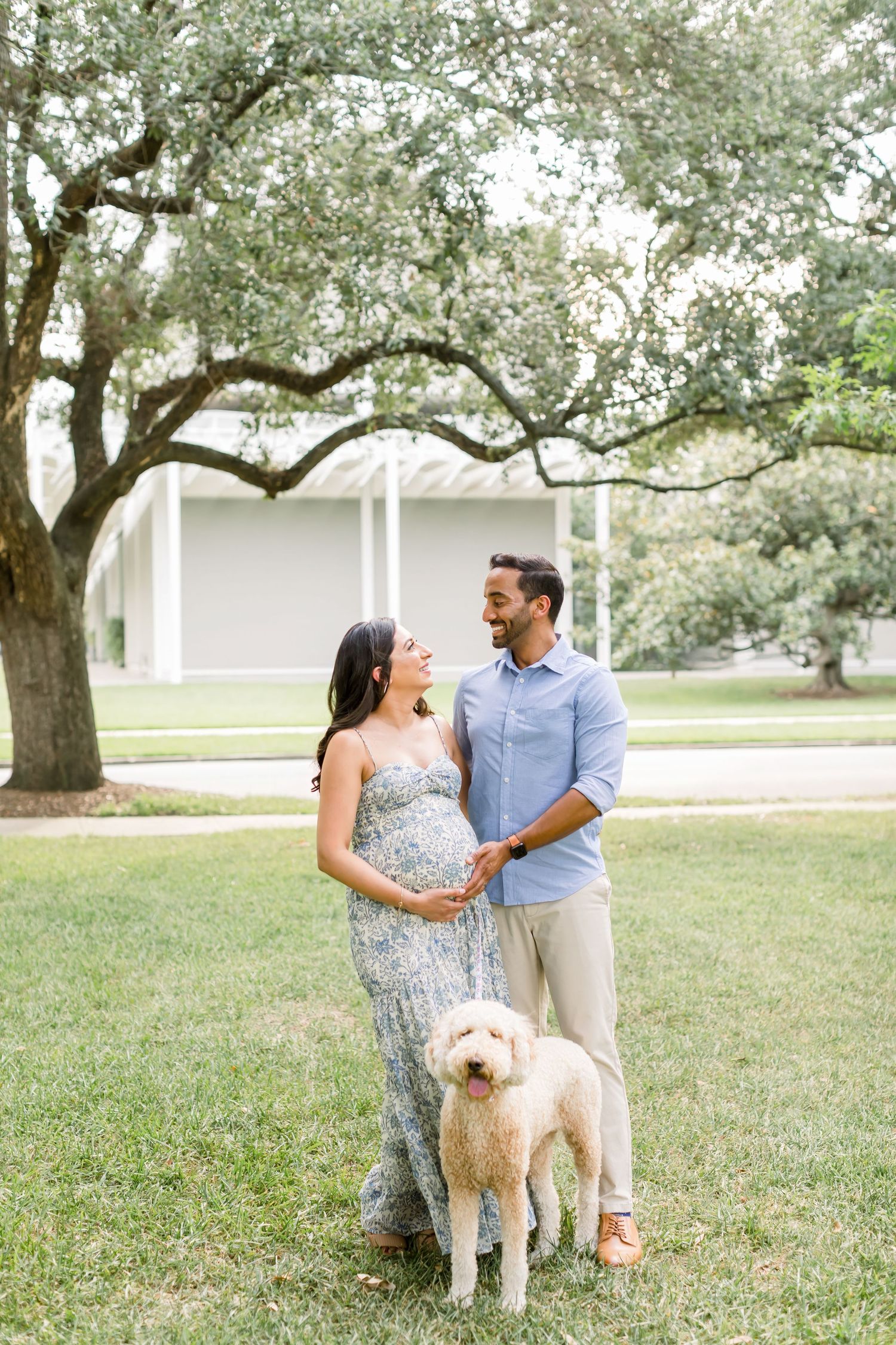 Couple poses with their golden retriever for maternity photos under sprawling oak trees.