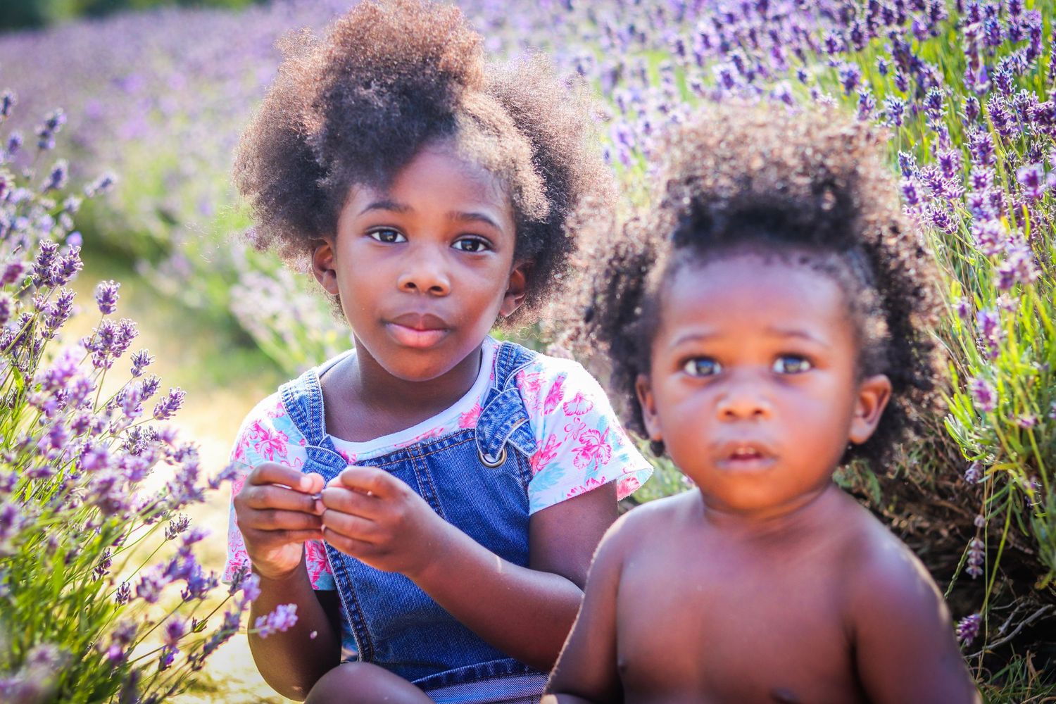 Children's photography at Mayfield Lavender Fields, Surrey