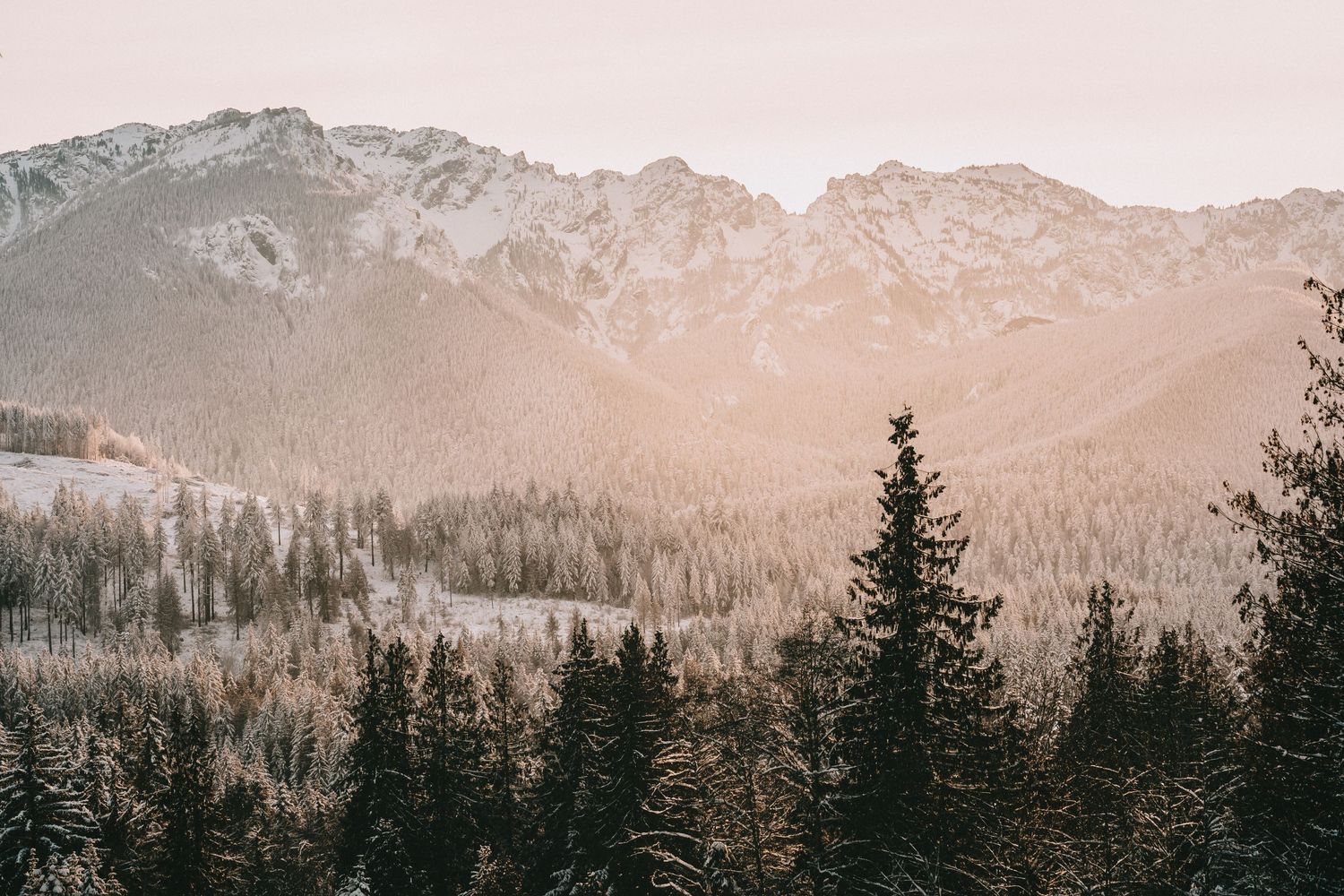 a snowy mountain range with trees